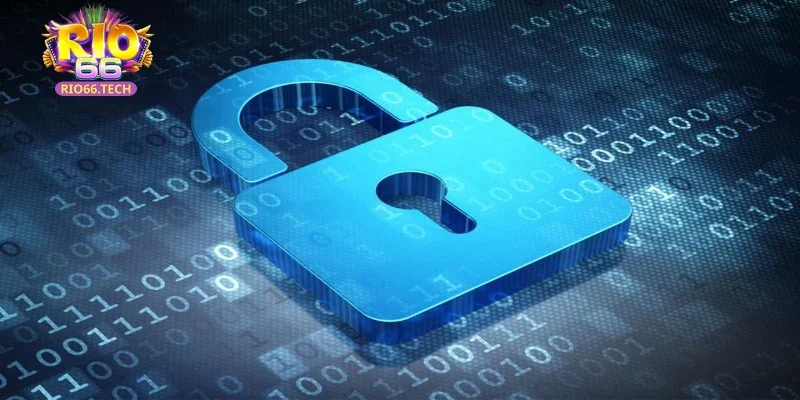 Chi tiết về các điều khoản bảo mật